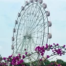 深圳旅游 缩略图 10