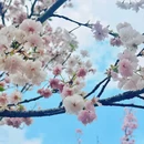 深圳旅游 缩略图 14