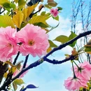 深圳旅游 缩略图 11