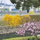 南京旅游 缩略图 7