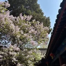 北京旅游 缩略图 11
