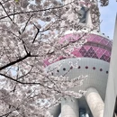 上海旅游 缩略图 2