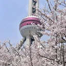 上海旅游 缩略图 3