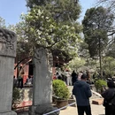 北京旅游 缩略图 17