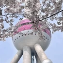 上海旅游 缩略图 10