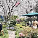 上海旅游 缩略图 12