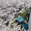 上海旅游 缩略图 6