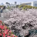 上海旅游 缩略图 4