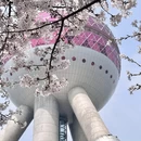 上海旅游 缩略图 15