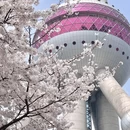 上海旅游 缩略图 17