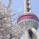上海旅游 缩略图 16