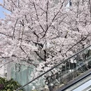 上海旅游 缩略图 8