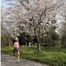 上海旅游 缩略图 5