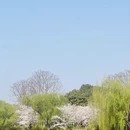 上海旅游 缩略图 3
