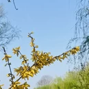 上海旅游 缩略图 2