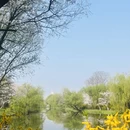 上海旅游 缩略图 1