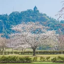 上海旅游 缩略图 1