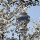 北京旅游 缩略图 5
