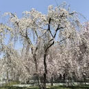 北京旅游 缩略图 4