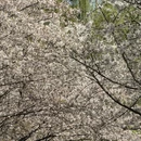 北京旅游 缩略图 9