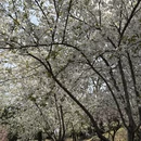 北京旅游 缩略图 11