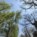 北京旅游 缩略图 12