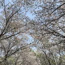北京旅游 缩略图 10