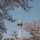 北京旅游 缩略图 6