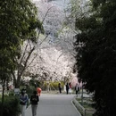 北京旅游 缩略图 7