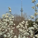 青岛旅游 缩略图 6