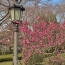 青岛旅游 缩略图 5