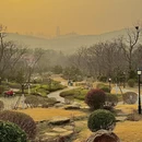 青岛旅游 缩略图 10