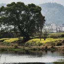 上饶旅游 缩略图 1