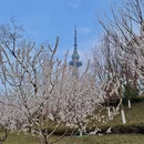 青岛旅游 缩略图 9