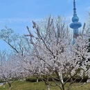 青岛旅游 缩略图 8