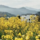 上饶旅游 缩略图 5