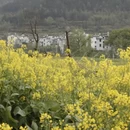 上饶旅游 缩略图 3