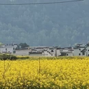 上饶旅游 缩略图 2