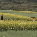上饶旅游 缩略图 4