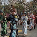 深圳旅游 缩略图 4