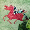 深圳旅游 缩略图 1