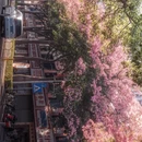 深圳旅游 缩略图 3
