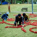 深圳旅游 缩略图 4