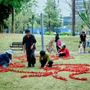 深圳旅游 缩略图 6