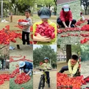 深圳旅游 缩略图 9
