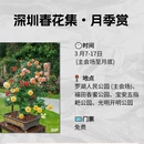 深圳旅游 缩略图 7