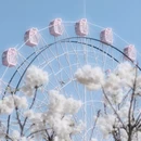深圳旅游 缩略图 3