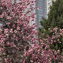 西安旅游 缩略图 6