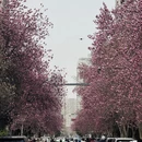 西安旅游 缩略图 5