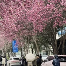 西安旅游 缩略图 1